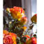 Tige de rose sec-639420201