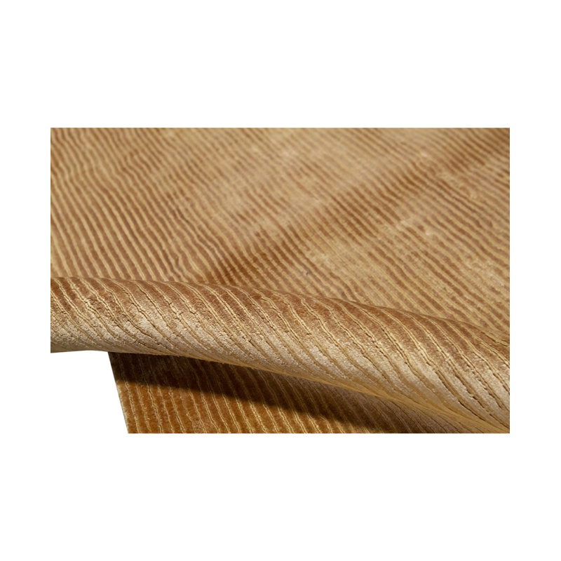 Area Rug in Brown