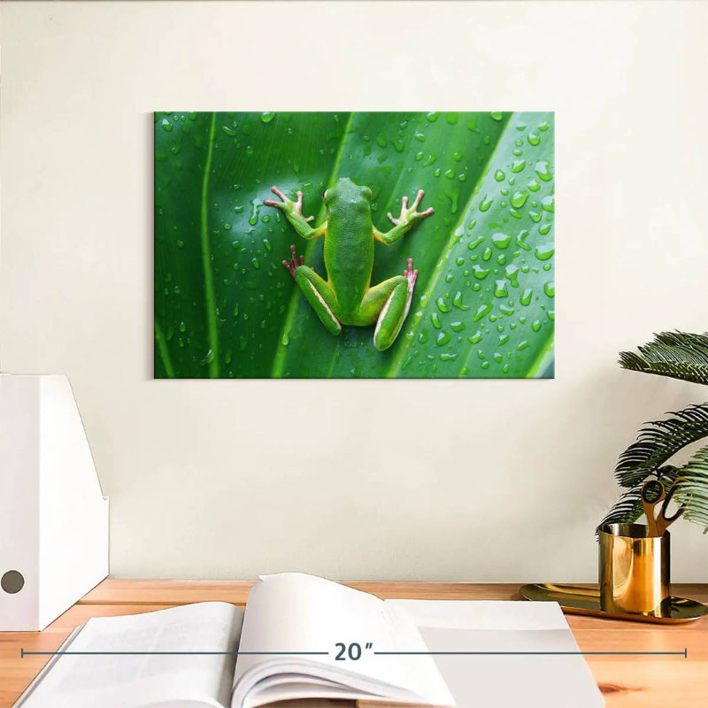Grenouille camouflée, H 8 po x l 12 po