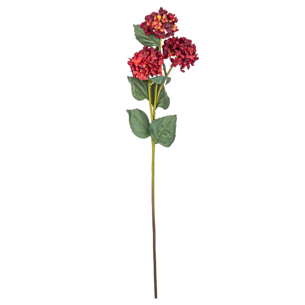 Ranbir Hydrangea Stems, Burgundy