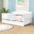 Efthim Twin Size Daybed with Trundle-2009575100