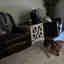 Customer photo 1 of 2