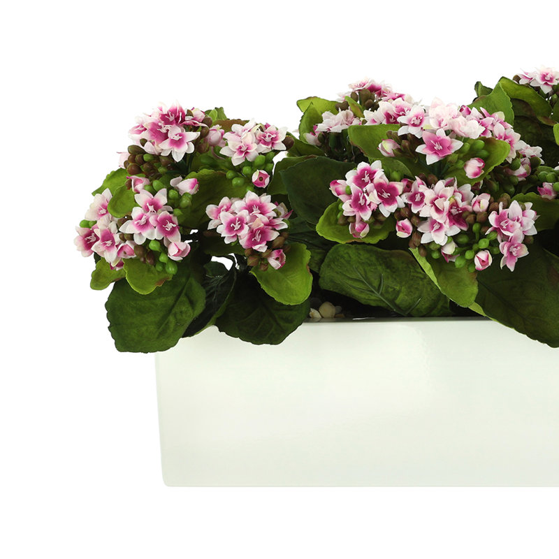Arrangement Kallas Kalanchoe en pot de fibres, Mauve / Blanc, H 9,5 po x l 18 po x P 9,5 po