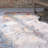 Massad Performance Floral Rug-24110310
