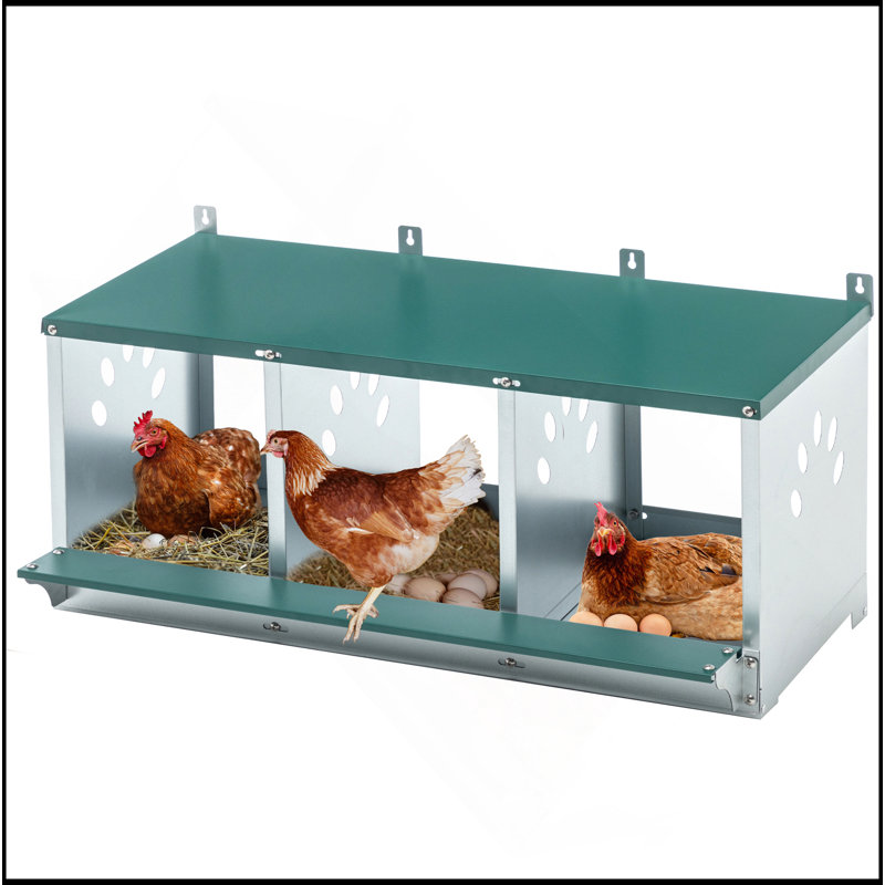 Boîtes de nidification en métal pour poulet, boîte de nidification à 3 compartiments, boîtes de nidification en acier galvanisé pour poules, facile à assembler