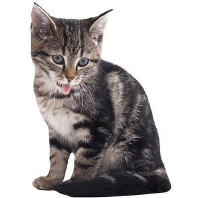 Adhésif décoratif chat III