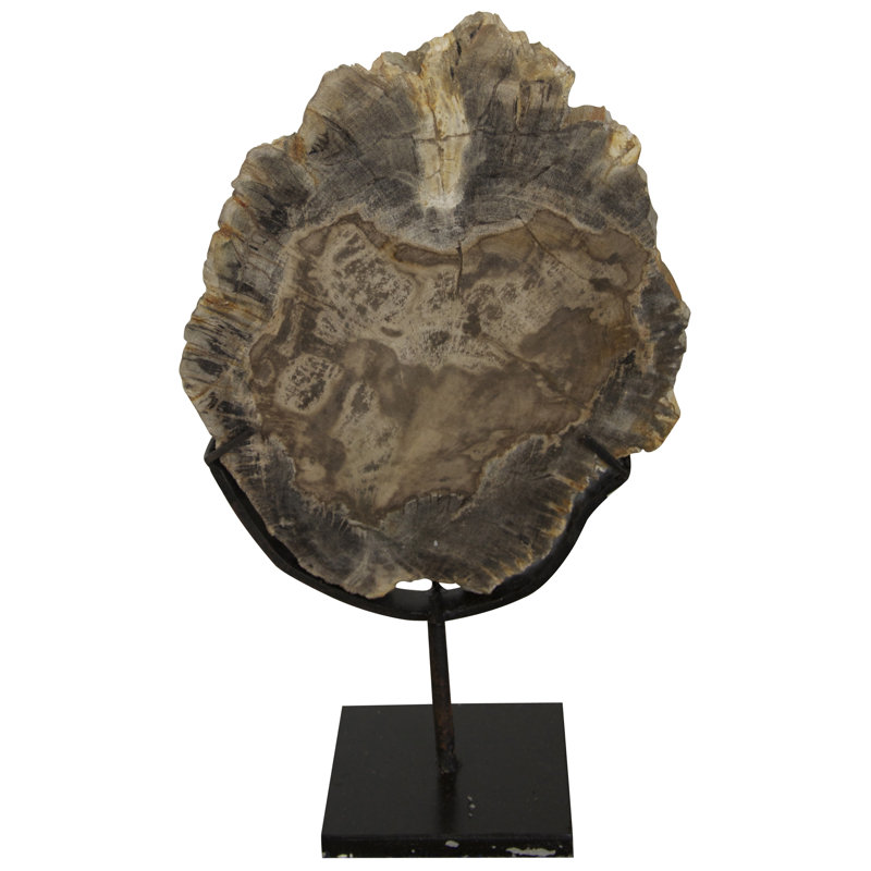 Sculpture fossile avec support