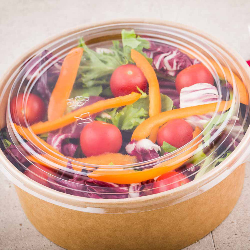 Bio Tek Disposable Tableware
