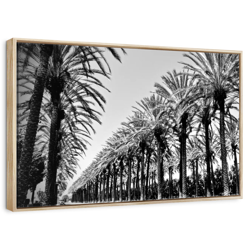 Palmiers en ordre, Cadre flottant en bois naturel, 46 po x 31 po