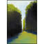 Hedge Maze 2 Painting by Thom Filicia