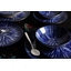 Honfleur Porcelain China Dinnerware Set 24 Piece - Service for 6