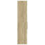 Shilonda Storage Cabinet-691843786