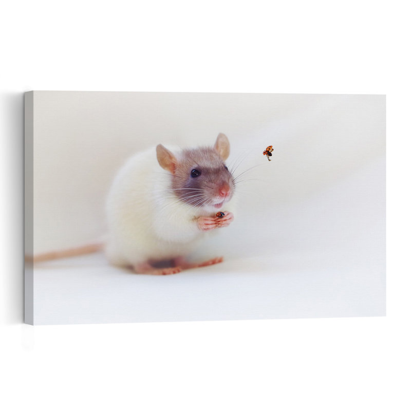 Gentle Rat And Ladybug Playful Contemporary Ladybug Nature Wildlife Wall Art Print by Ellen van Deelen - 1 Piece Wrapped Canvas Wall Art