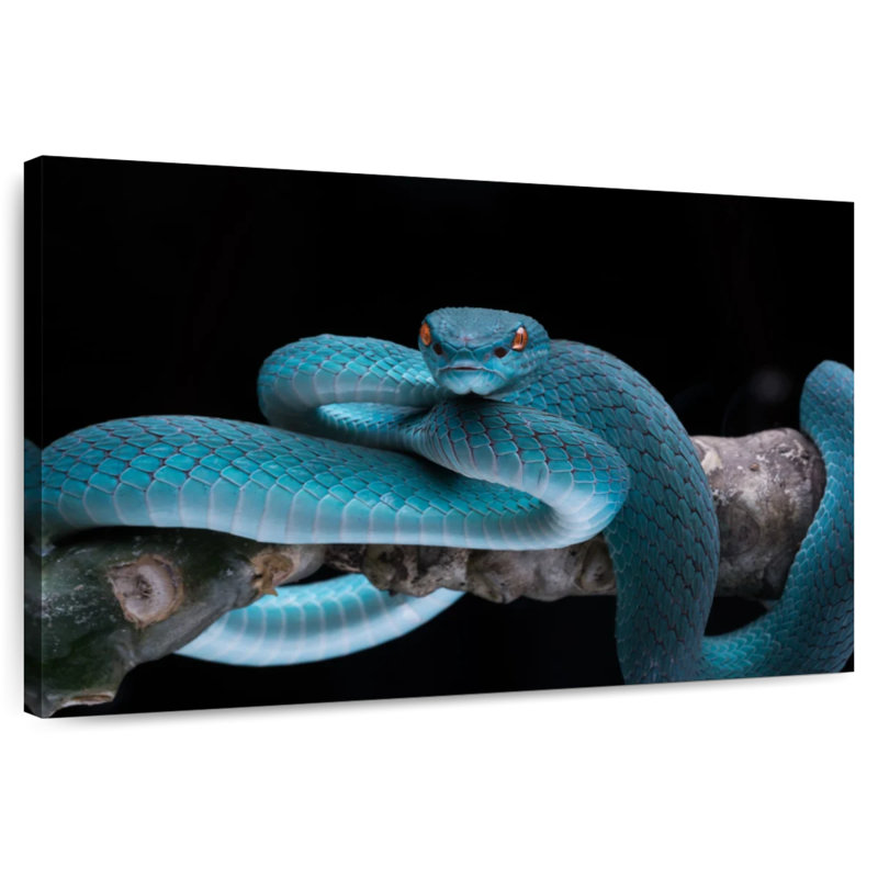 Brampt Snake On Branch, 32" H x 48" W