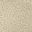 Sherpa Teddy | Kova Fabric-1253050800