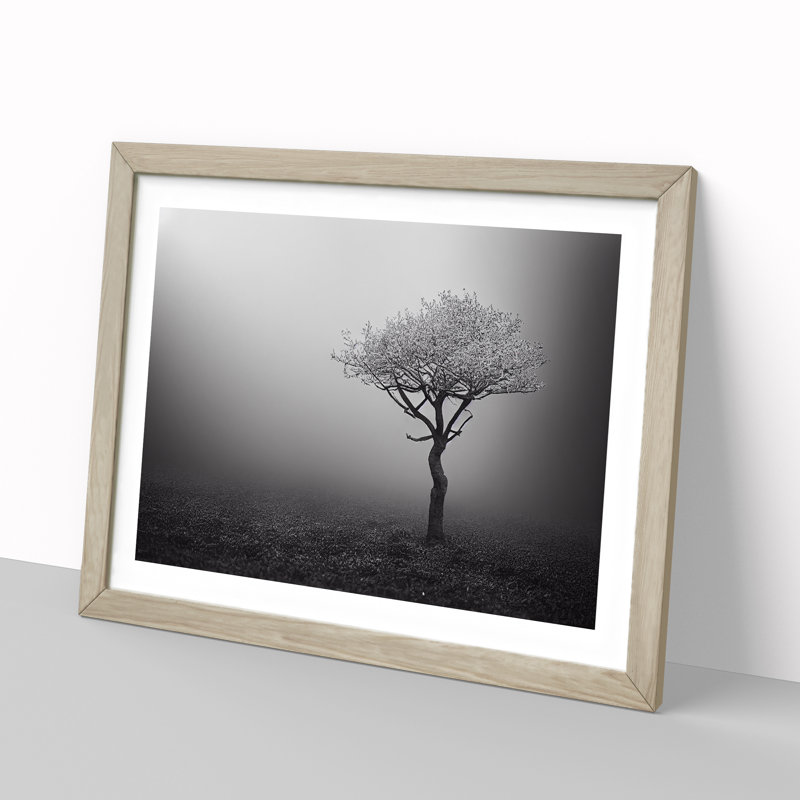 Lonely Tree - Single Picture Frame Print, 34cm H x 46cm W x 2cm D, Oak