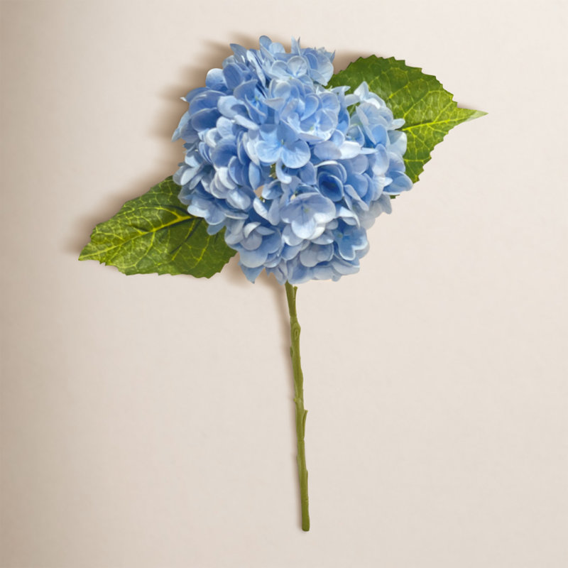 Tige d'hydrangée, Bleu