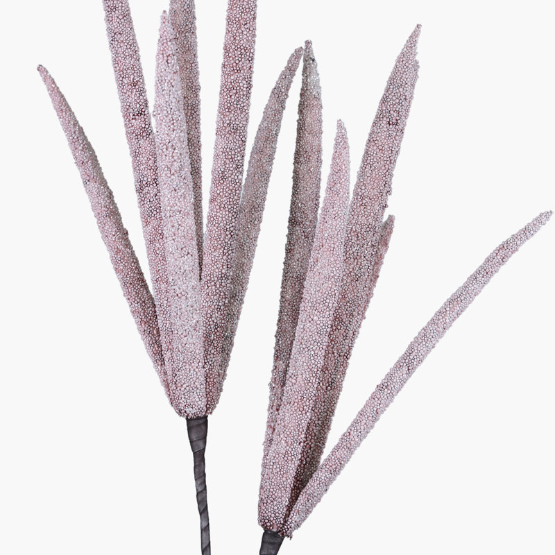 Papyrus Plant Arrangement, Pink