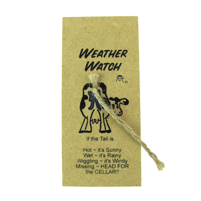 5.5'' Wireless Outdoor Thermometer