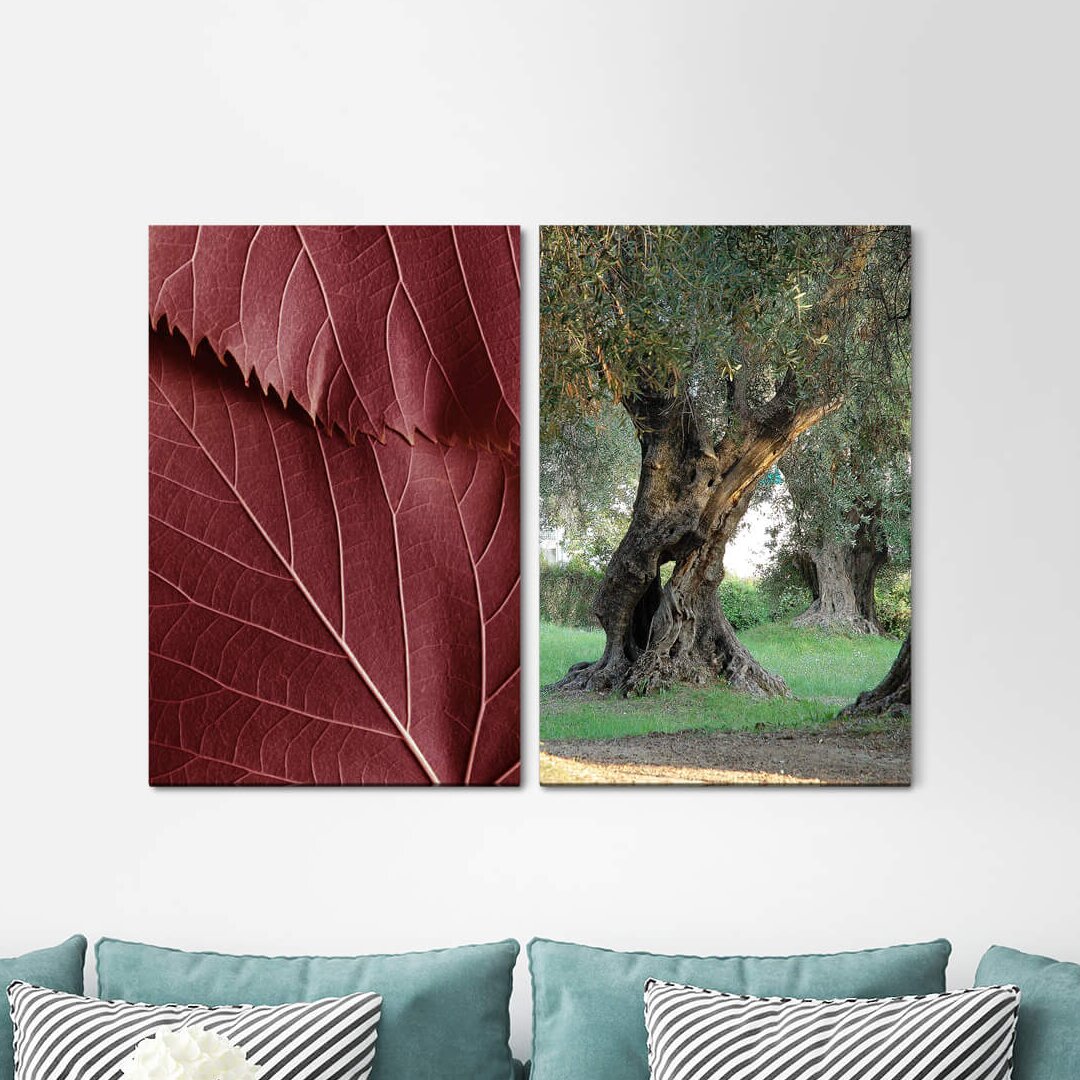 2-tlg. Leinwandbilder-Set - Fotografie „Nature Olive Trees Leaf Veins Calming Idyllic”