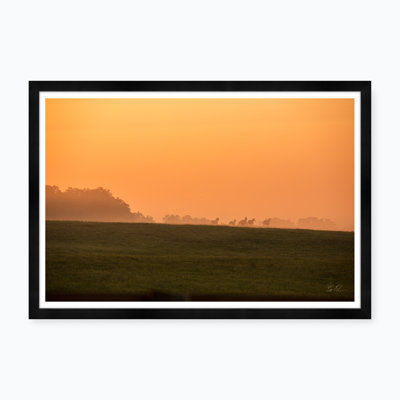 Meadow Sunrise Iii - Photographie avec cadre photo