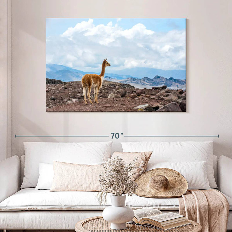 Vicuna Brampt, H 32 po x l 48 po