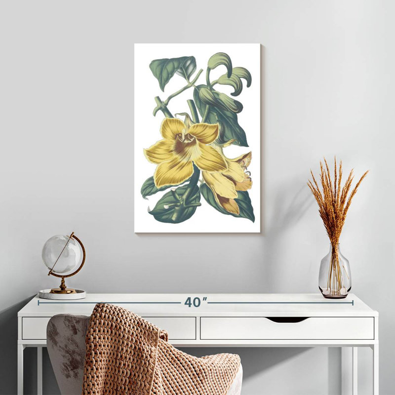 Harnek Antique Botanical II Cool, H 24 po x l 16 po