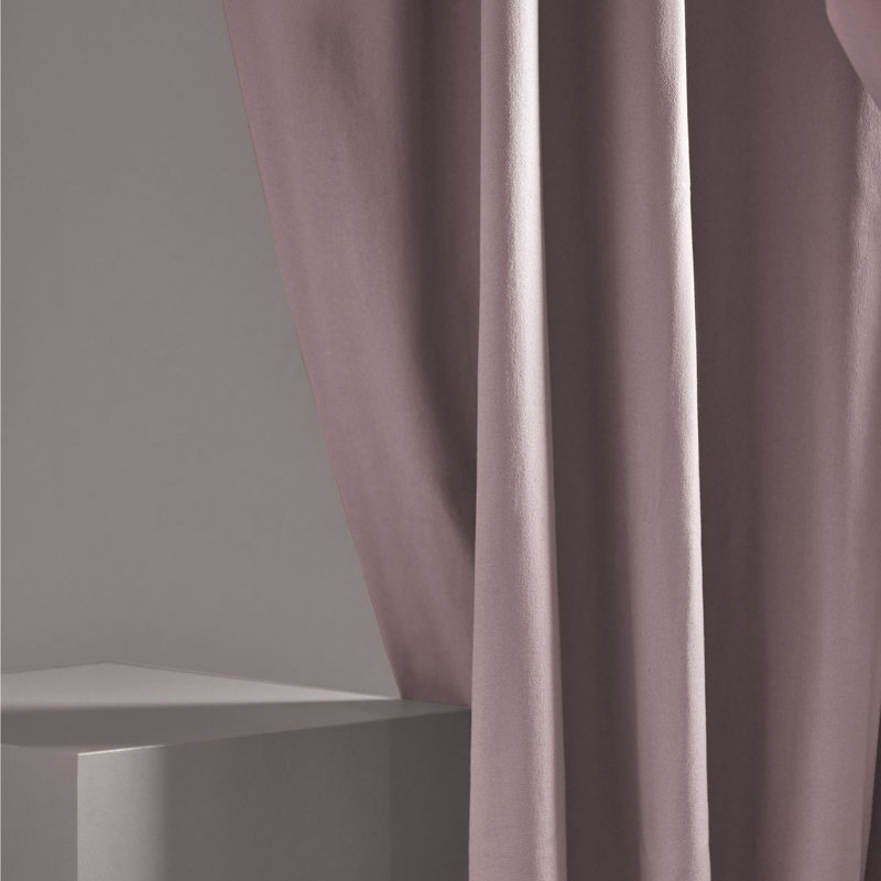 Allegra, Lilac