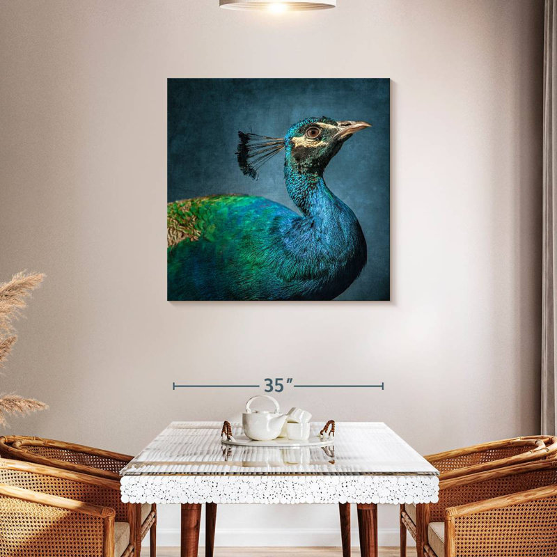 Crowle, portrait de paon bleu