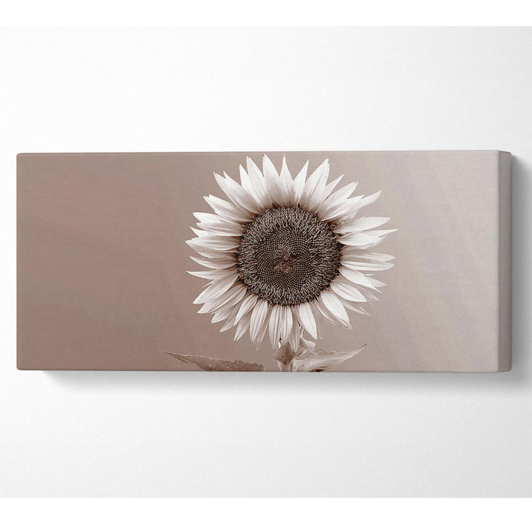 Sonnenblume Schokolade - Kunstdrucke auf Leinwand - Wrapped Canvas