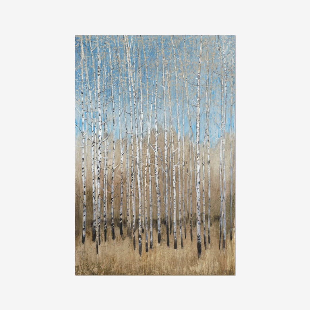 Leinwandbild Dusty Blue Birches I von Timothy O 'Toole