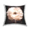 Coussin décoratif
