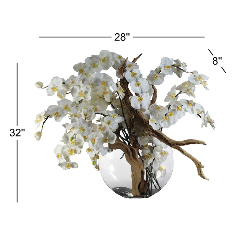 Phaleanopsis and California Sandblasted Ghostwood Orchids Centerpiece in Vase