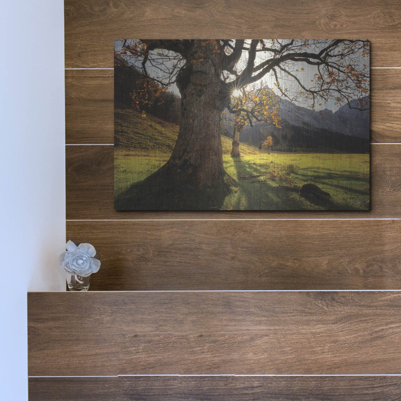 «The Star» par Martin Podt, H 12 po x l 16 po