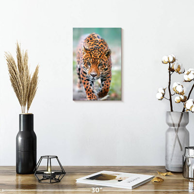 Brampt Jaguar Walk