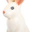 Dignified Rabbit 30" Table Lamp