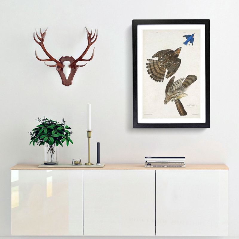 Stanley Hawks by John James Audubon - Framed Print, Black Framed, 48cm H x 36cm W x 2cm D