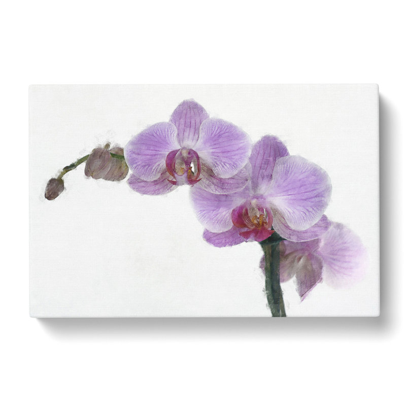 Purple Orchids In Bloom Painting - Wrapped Canvas, 35cm H x 50cm W x 3cm D