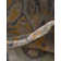 Joshette Oriental Indoor Rug