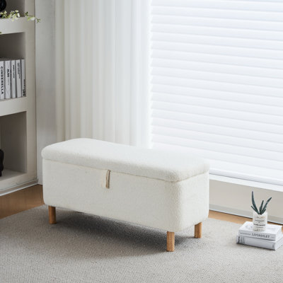 Dayvian 39.3" Storage Ottoman Bench for End of Bed