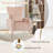 Koburn Velvet Wingback Chair-797814334