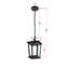Luminaire suspendu d'extérieur noir Deidra 7 pouces