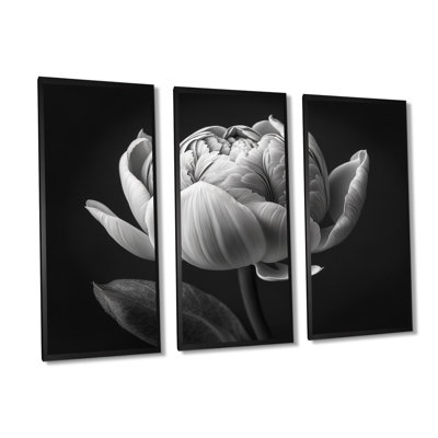 Gros plan sur une tulipe noire et blanche I - reproduction de cadre flottant 3 pièces sur toile