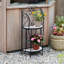 Raf Plant Stand