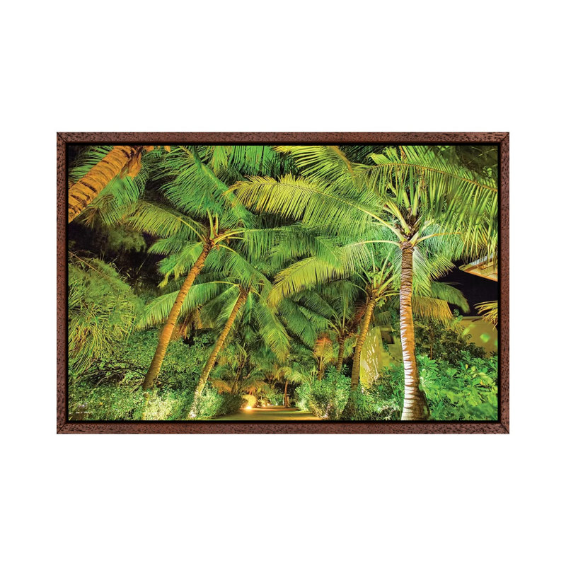 Palm Tree Path by Mark Paulda - Print on Canvas, 45.72cm H x 66.04cm W x 3.81cm D, Classic Brown Wood Floater Framed
