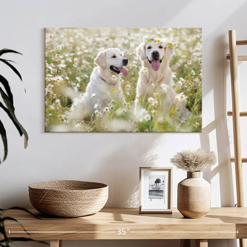 Couple de Golden Retriever de Brampt, H 16 po x l 24 po