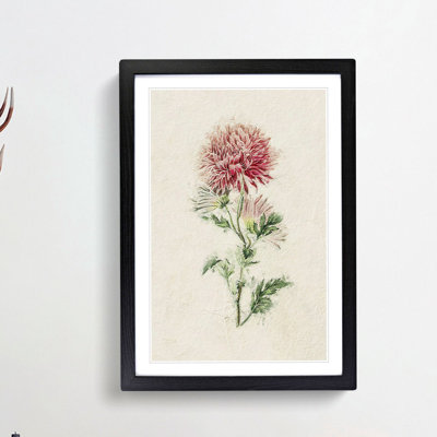 Illustration of Pink Chrysanthemums - Picture Frame Painting Print