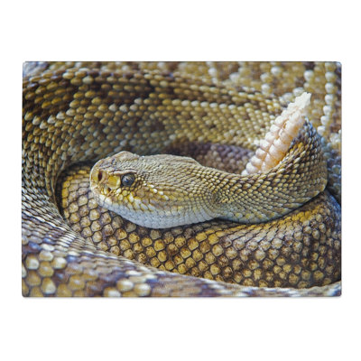 Rattle Snake  Glass Chopping Board