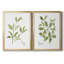 Toile encadrée Herb Sage Premium - prête à être accrochée-1062113813-1062113810