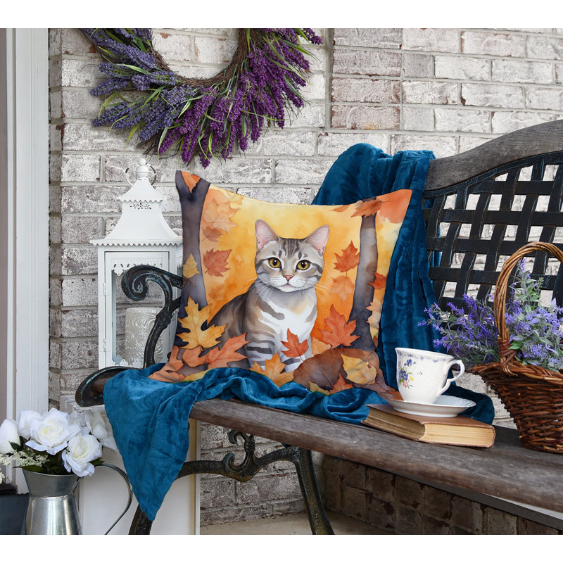 Coussin European European Shorthair, Carré 18 po